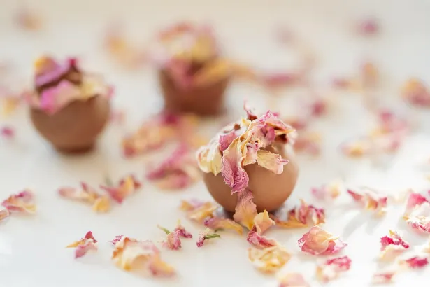 Fever Slots Kasino Android/iOS App